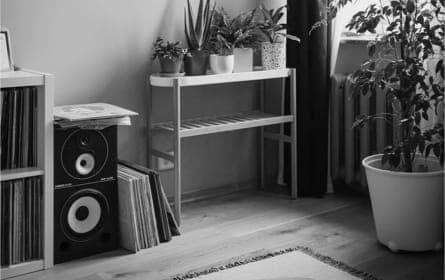 ZX9 Speaker gallery 2